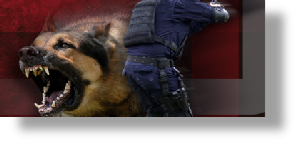 K9 Division